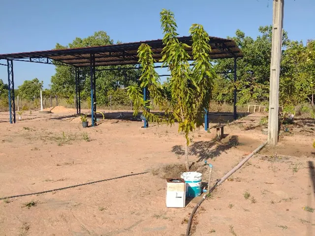 Imagem 8: Chacara Água Boa