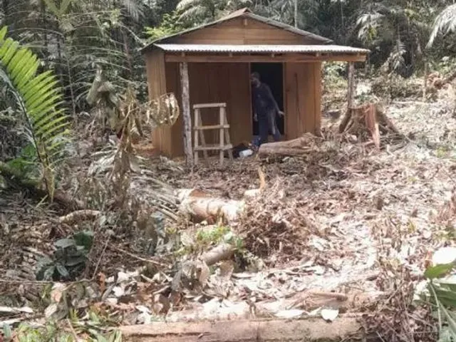 Imagem: Vende-Se Fazenda 608 Hectares Rorainópolis