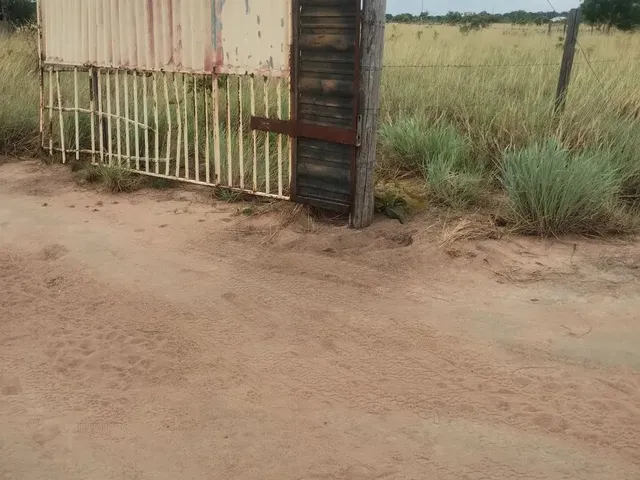Imagem: Não Tem Título