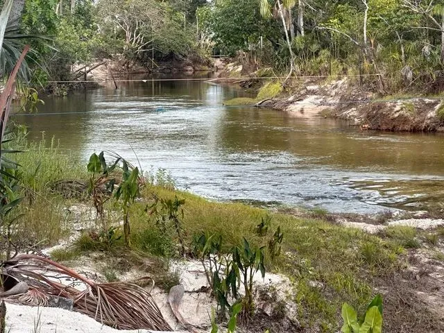 Imagem: Banho no Auau Coletivo