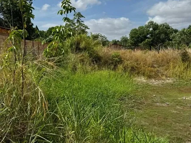 Imagem 4: Terreno Bairro Operario Parcelado