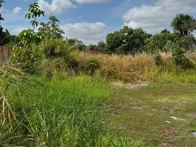 Imagem 2: Terreno Bairro Operario Parcelado