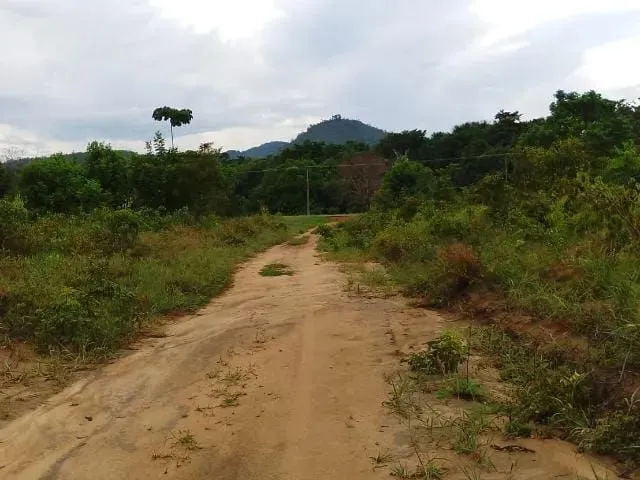 Imagem 2: Chácara no Cantá, a 20 Minutos de Boa Vista Rr Br 432. 35 Mil+20 Parc