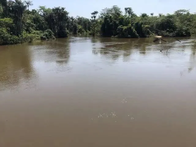 Imagem 5: Chácara no Cantá, a 20 Minutos de Boa Vista Rr Br 432. 35 Mil+20 Parc