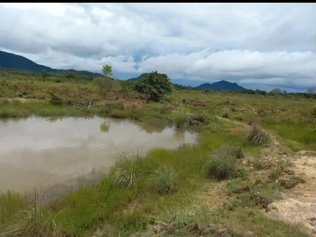 Imagem 4: Terra com 105Ha Aceito Carro e Casa