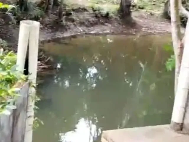 Imagem: Vende-Se Chácara C/ Banho Próximo a Vila