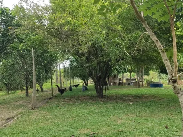 Imagem 3: Fazenda no Canta na Confiança III