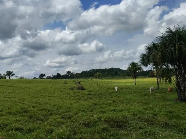 Imagem 4: Fazenda no Canta na Confiança III