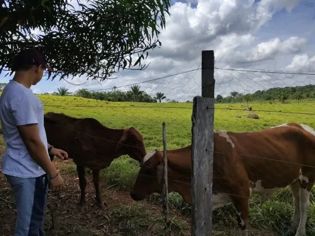 Imagem 7: Fazenda no Canta na Confiança III