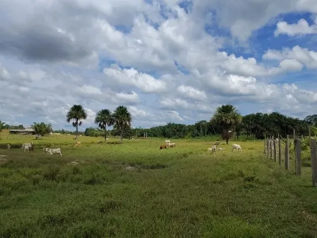 Imagem 8: Fazenda no Canta na Confiança III