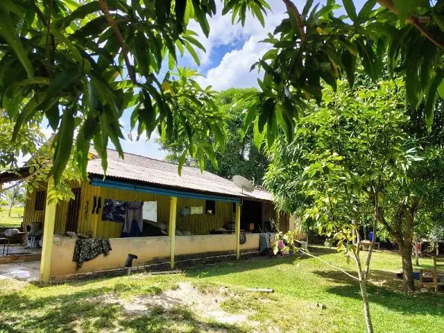 Imagem 11: Fazenda no Canta na Confiança III