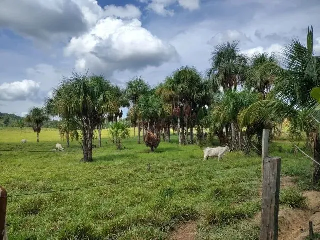 Imagem 6: Fazenda no Canta na Confiança III
