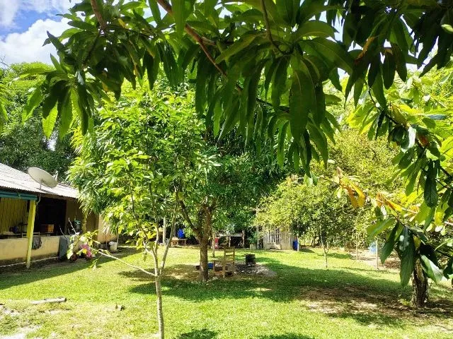 Imagem 9: Fazenda no Canta na Confiança III