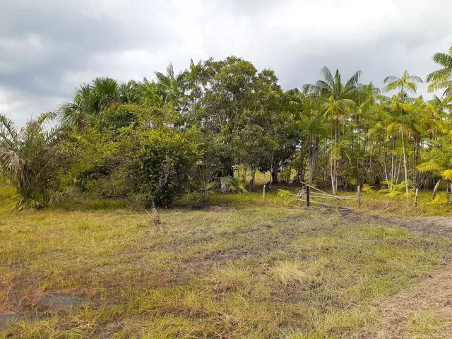 Imagem 4: Vendo Lindo Sítio na Beira da Br174