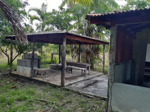 Imagem 5: Vendo Lindo Sítio na Beira da Br174