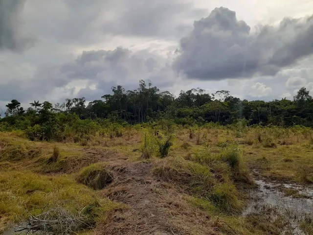 Imagem 7: Vendo Lindo Sítio na Beira da Br174