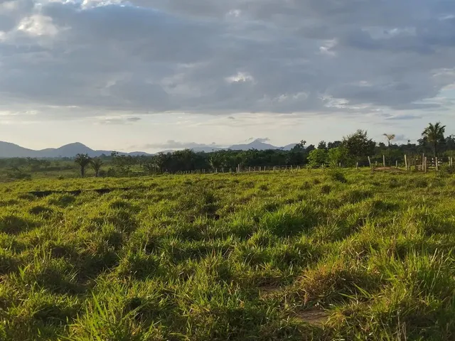 Imagem: Lindo Sítio (Dois Lotes Unidos) com 136,5