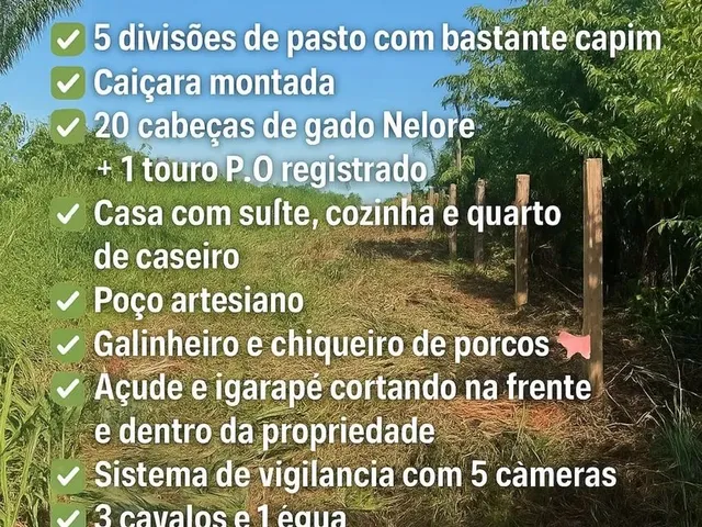 Imagem: Promoção de Adquirir Sua Propriedade Rural