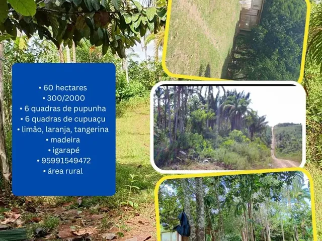 Imagem: Vende-Se Terreno Área Rural
