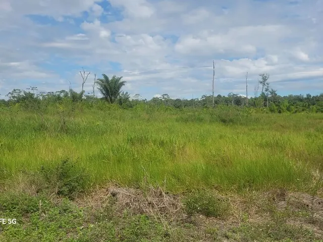 Imagem: Vende Se 75 Hectare de Terra 300X2700