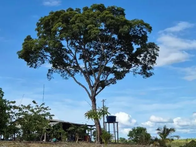 Imagem: Sítio Vicinal Barra do Vento