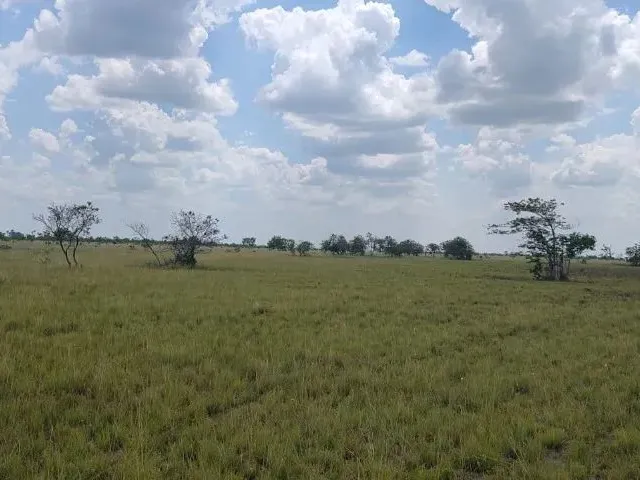 Imagem: Fazenda Exclusiva com Pé na Água no Rio