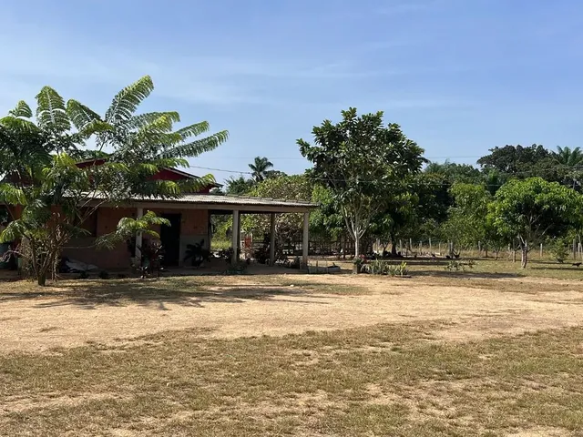 Imagem: Vende-Se Sítio em Amajari - Oportunidade
