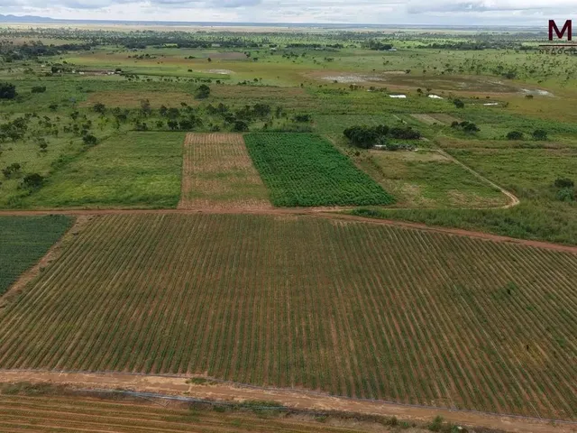 Imagem 9: Grande Oportunidade de Compra no Pa Nova Amazônia Área Rural Produtiva!