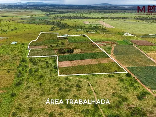 Imagem 6: Grande Oportunidade de Compra no Pa Nova Amazônia Área Rural Produtiva!