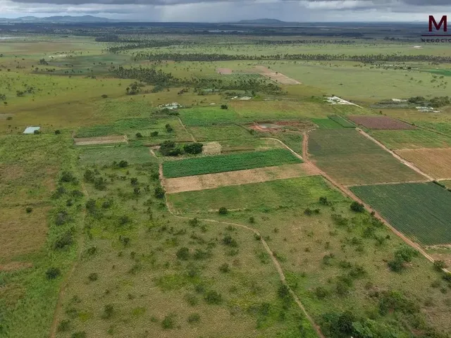 Imagem 2: Grande Oportunidade de Compra no Pa Nova Amazônia Área Rural Produtiva!