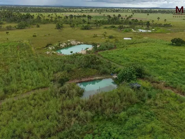 Imagem 13: Grande Oportunidade de Compra no Pa Nova Amazônia Área Rural Produtiva!