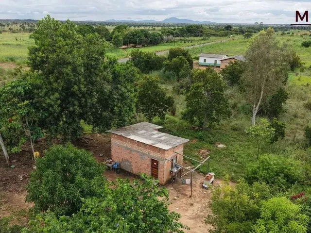 Imagem 7: Grande Oportunidade de Compra no Pa Nova Amazônia Área Rural Produtiva!