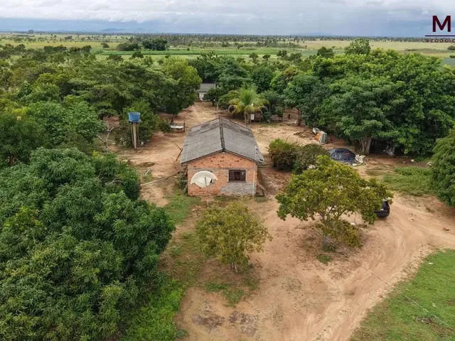 Imagem 4: Grande Oportunidade de Compra no Pa Nova Amazônia Área Rural Produtiva!