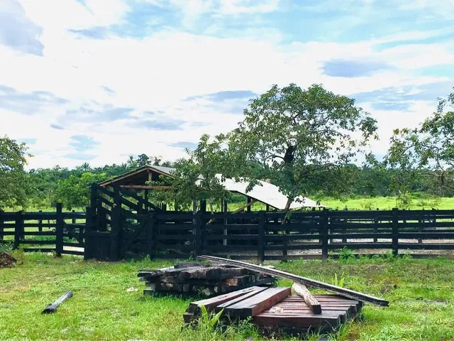 Imagem 9: Área para Pecuária-Alto Alegre