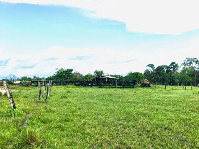 Imagem 5: Área para Pecuária-Alto Alegre