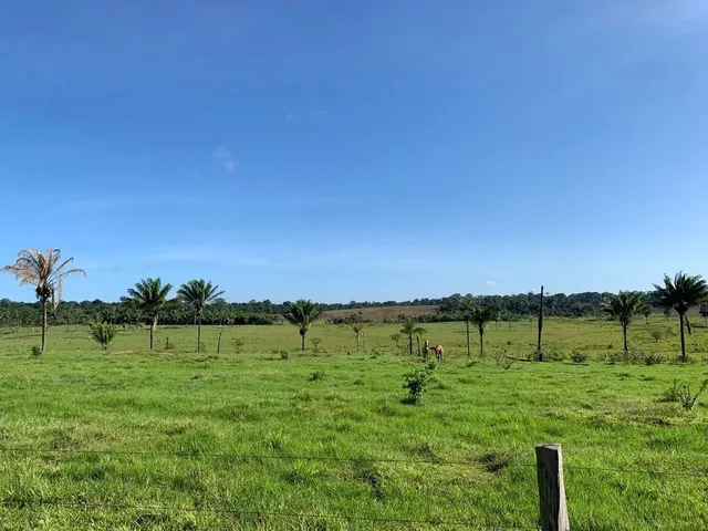 Imagem 8: Área para Pecuária-Alto Alegre