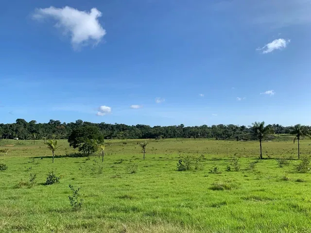 Imagem 7: Área para Pecuária-Alto Alegre