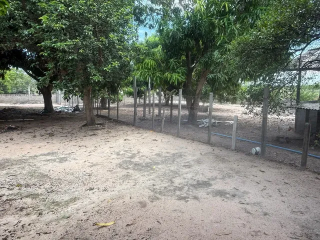 Imagem 14: Chácara a 10 Minutos da Cidade