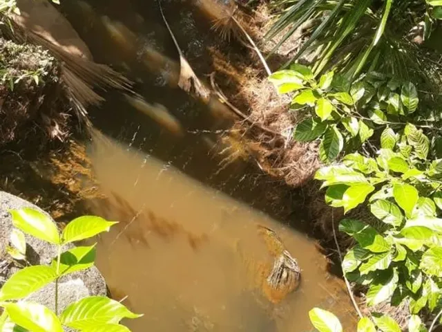 Imagem: Lote, Sítio