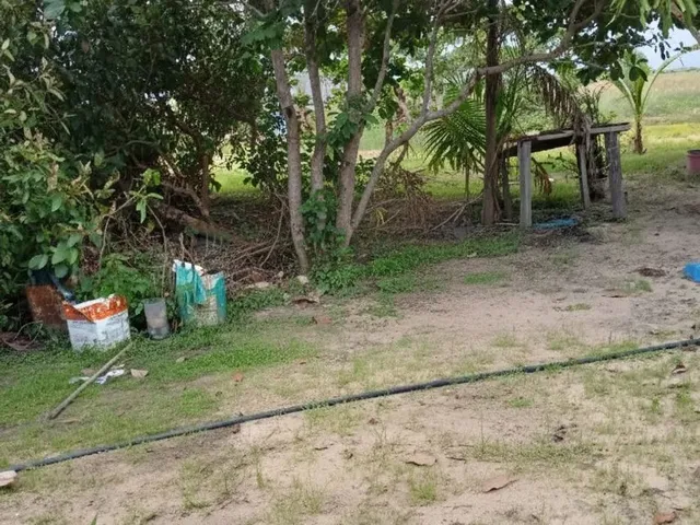 Imagem 3: Vendo Se Chácara