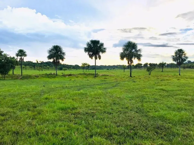Imagem: Vendo Fazenda a 500 Metros de Alto Alegre