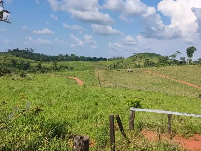 Imagem: Vende-Se 2 Fazendas em Alto Alegre - Roraima