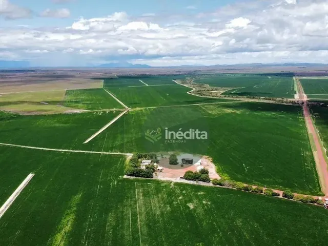 Imagem: Fazenda À Venda, M² por R$ 105.000.000,00