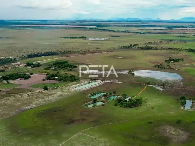 Imagem 3: Sítio Bbj - 54 Hectares - 7Km da Br 174 e 2 Km do Lago Azul - Pa Nova Amazônia