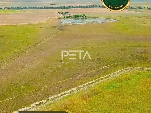 Imagem: Vende-Se Fazenda 974 Hectares, a 45 Km de