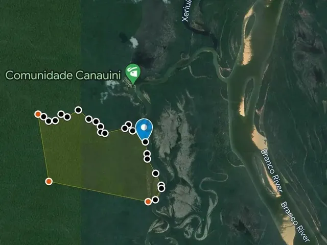 Imagem: Área À Venda 1.060 Hectares Às Margens