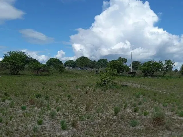 Imagem: Vende Uma Excelente Área Rural