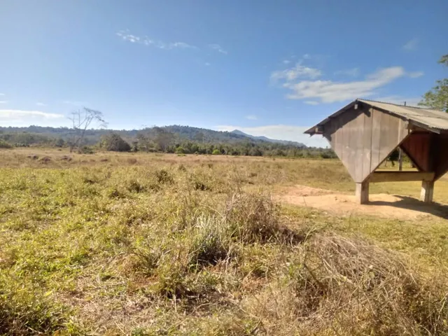 Imagem: Vendo Fazenda 2988 Hec Escriturada Região