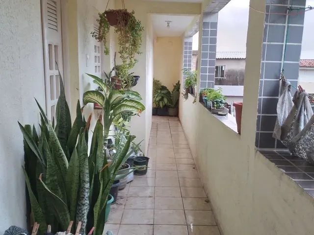 Imagem 15: Alugo Apartamento 2 Quartos Brasília Teimosa 900,00