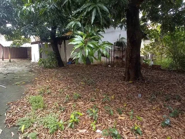 Imagem: Imóvel para Aluguel e Venda Tem 450 Metros